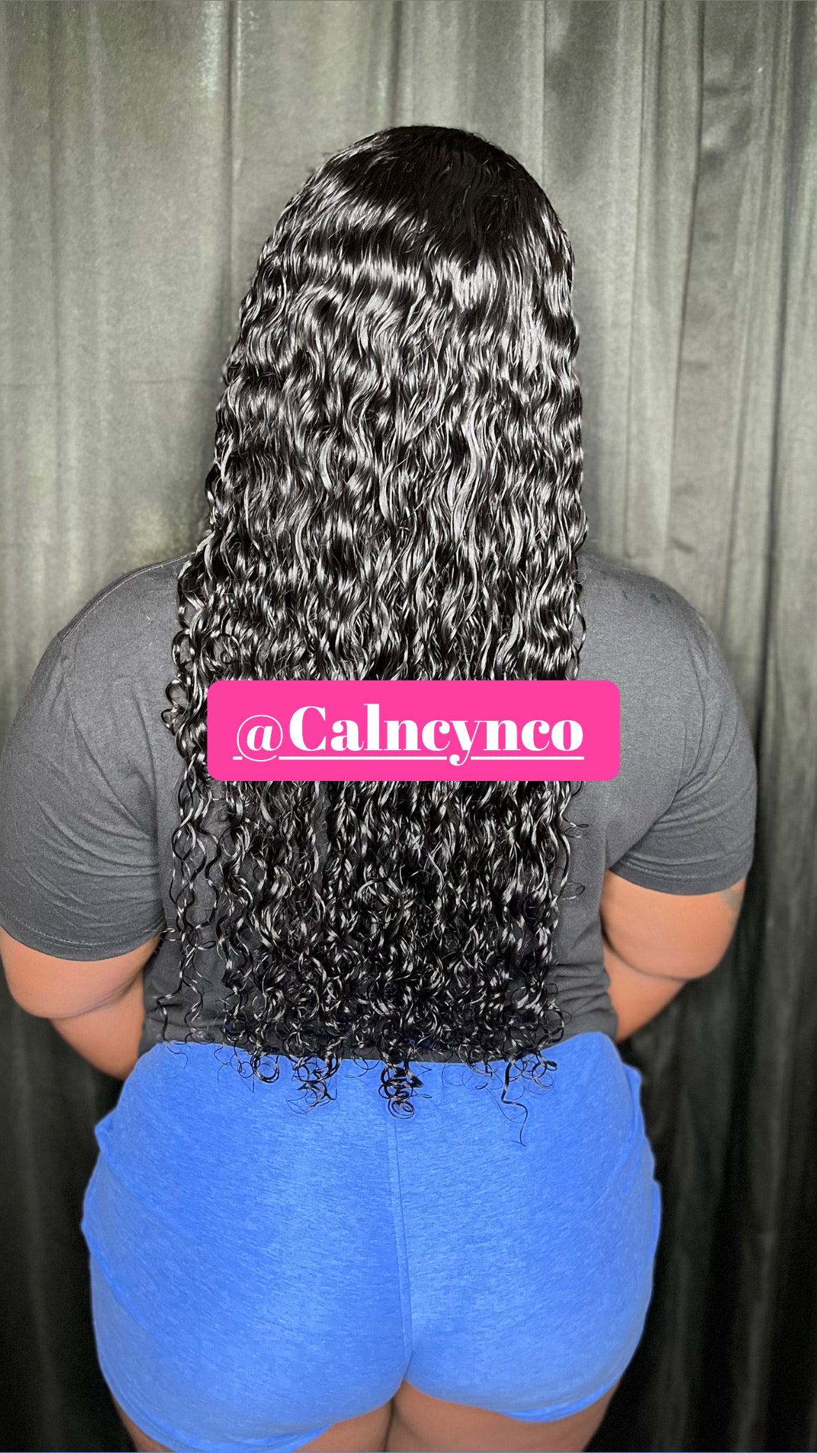 Burmese Curly