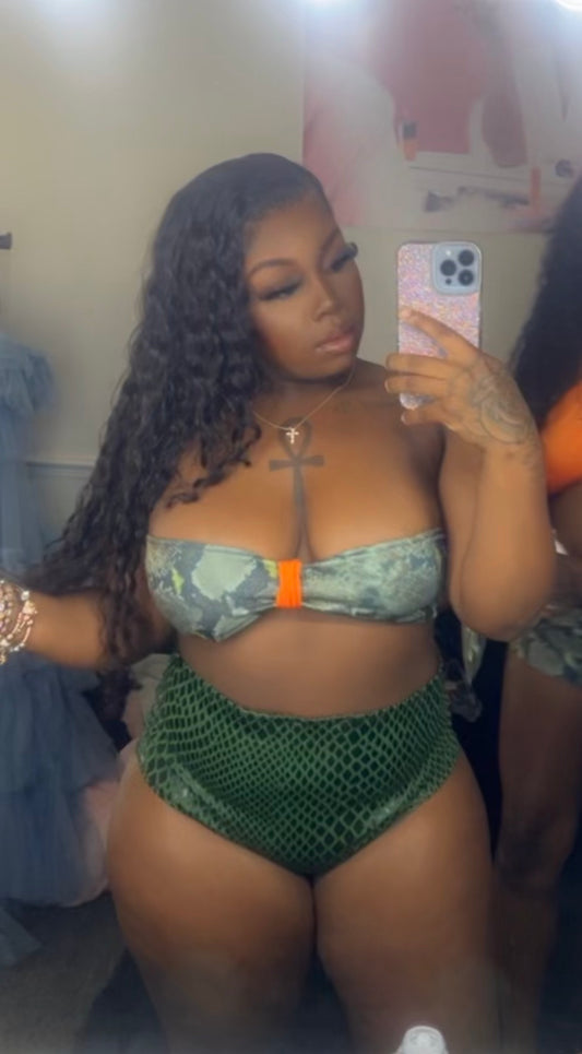 Mix n Match Snake Skin squeeze tube top & bikini bottom